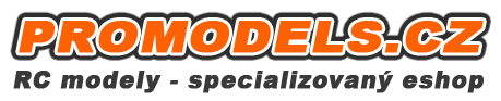 Primary Raster logo