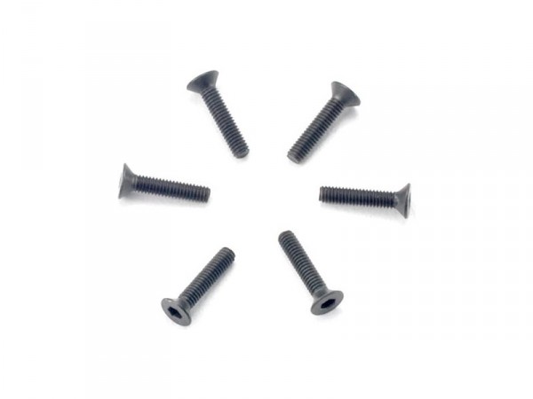 Šroub imbus zapuštěná hlava M2.5x12mm (6)