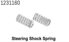 1231160 - Steering Spring2 CR4.4 (2)