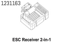 1231163 - 2in1 ESC&Receiver Wolf